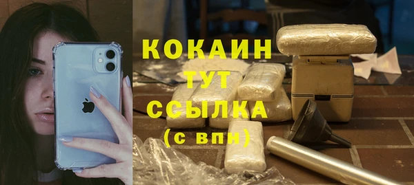 бошки Богданович