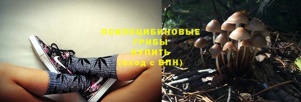 первитин Богородск
