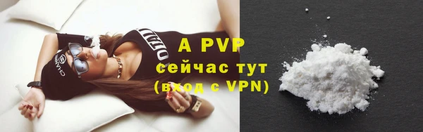 бошки Богданович