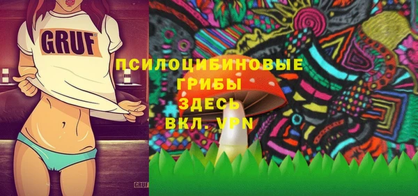 бошки Богданович