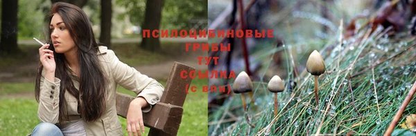 первитин Богородск